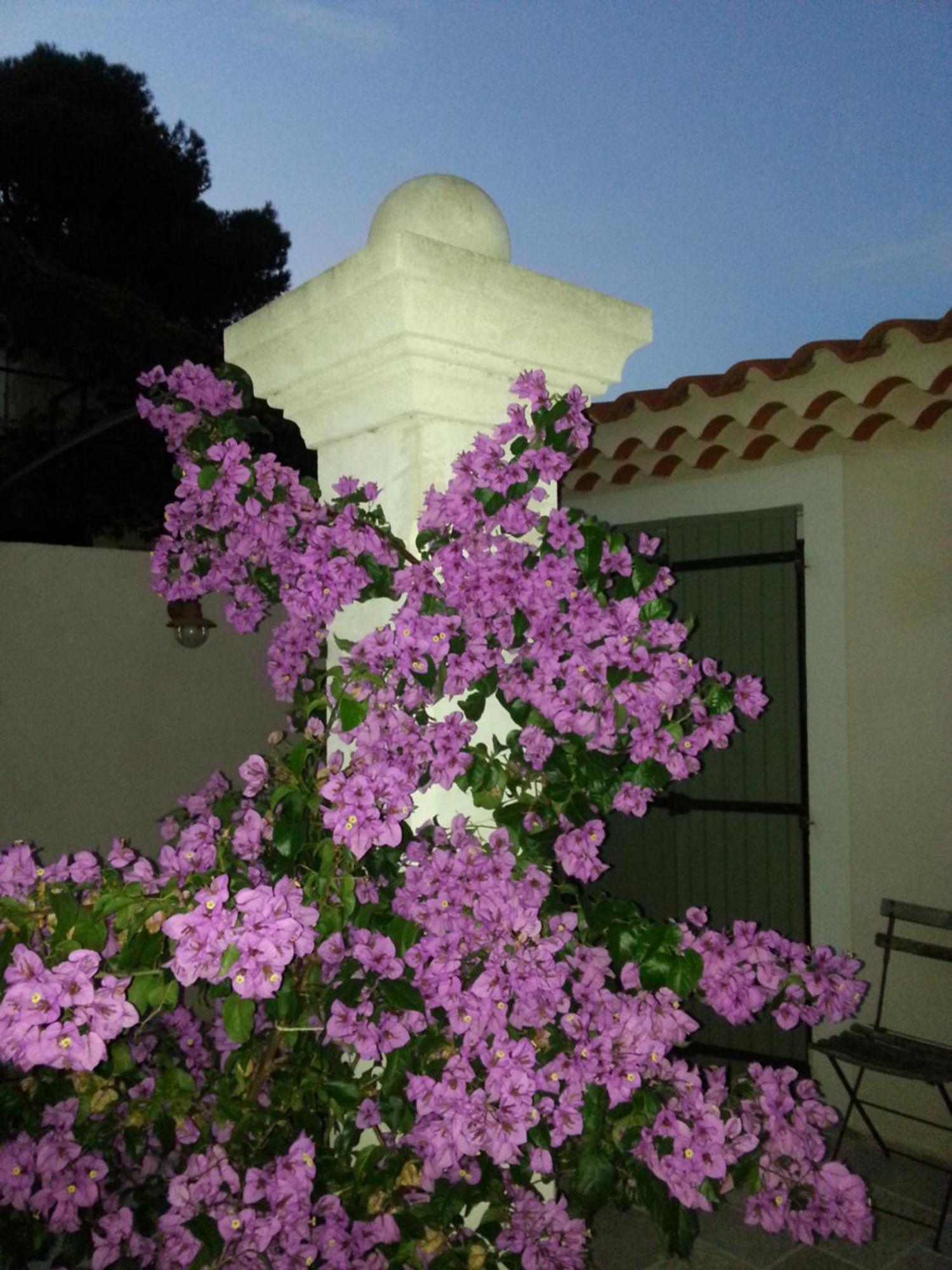 Gite Le Felibre Châteauneuf-lès-Martigues Camera foto